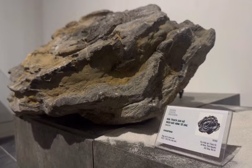 Cận cảnh viên đá cổ nhất Việt Nam gần 3 tỷ năm tuổi