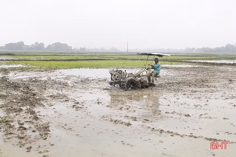 Địa phương có tỷ lệ làm đất vụ xuân đạt cao ở Hà Tĩnh