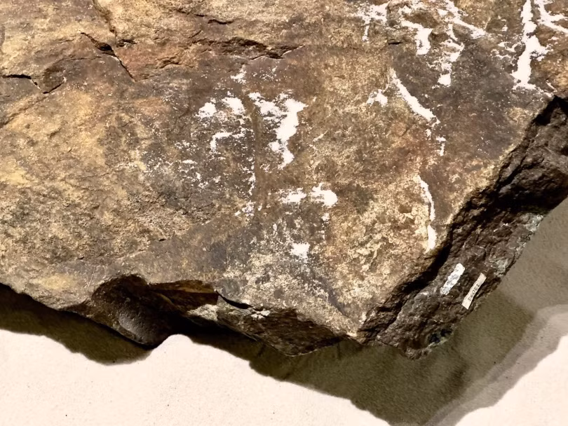 Cận cảnh viên đá cổ nhất Việt Nam gần 3 tỷ năm tuổi