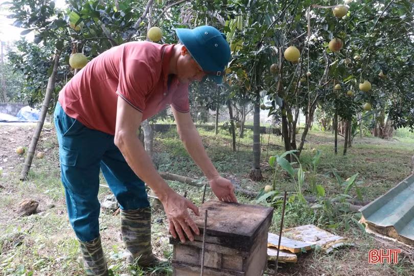 Xã đội phó ở Hương Sơn đảm việc xã hội, giỏi làm kinh tế