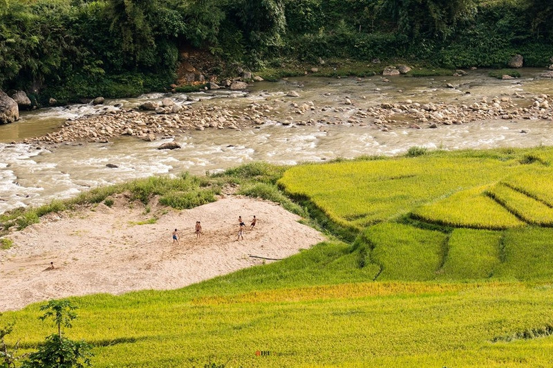 Năm 2009 tạp chí du lịch nổi tiếng Travel and Leisure (Mỹ) đã bình chọn ruộng bậc thang Sa Pa là 1 trong 7 ruộng bậc thang đẹp nhất châu Á và thế giới. canh sac nhu tranh cua sa pa mua lua chin