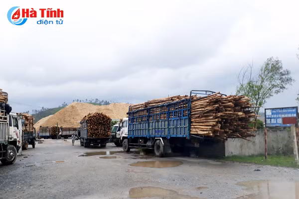 xe tai nam dai cho nhap go nguyen lieu