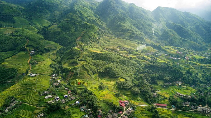Trong tiết trời se lạnh của mùa thu, cả thung lũng bỗng bừng lên sắc màu ấm áp, tươi sáng. Nhiều thửa ruộng bậc thang đan xen vào nhau tạo nên những đường cong uốn lượn tuyệt đẹp. canh sac nhu tranh cua sa pa mua lua chin