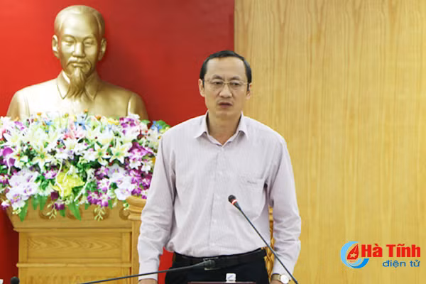 khai thac loi the rung ben vung gan voi bao ve moi truong sinh thai