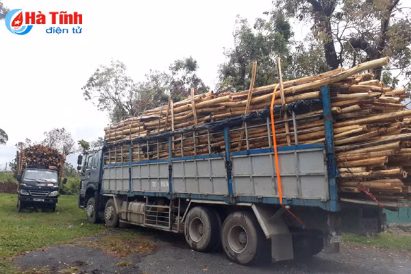 xe tai nam dai cho nhap go nguyen lieu