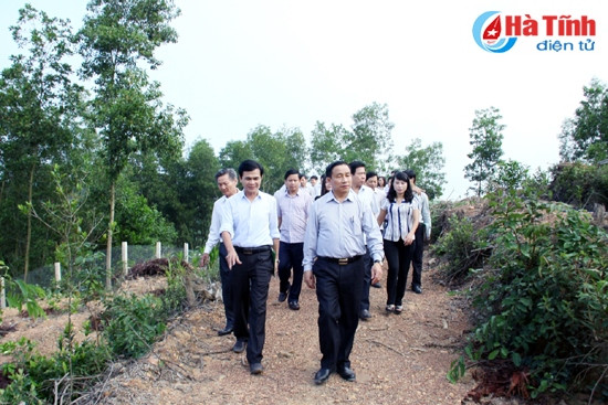 Hương Khê cần phát huy tiềm năng, lợi thế trong xây dựng nông thôn mới ảnh 2