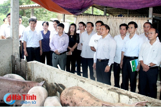 Hương Khê cần phát huy tiềm năng, lợi thế trong xây dựng nông thôn mới ảnh 3