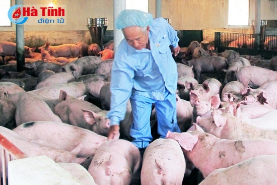 Điểm nhấn nông thôn mới ở Đức Thọ ảnh 2