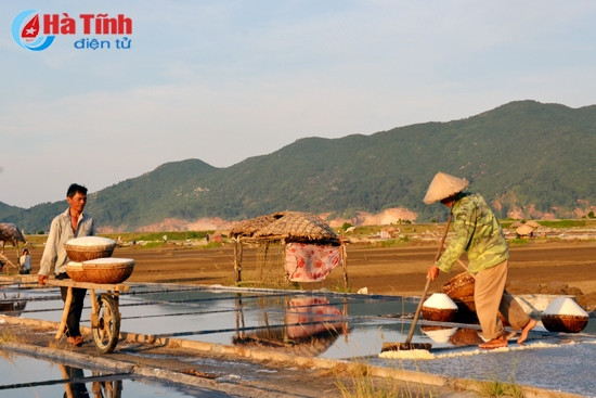 Vụ muối 2015: Lại mất mùa, rớt giá ! ảnh 2