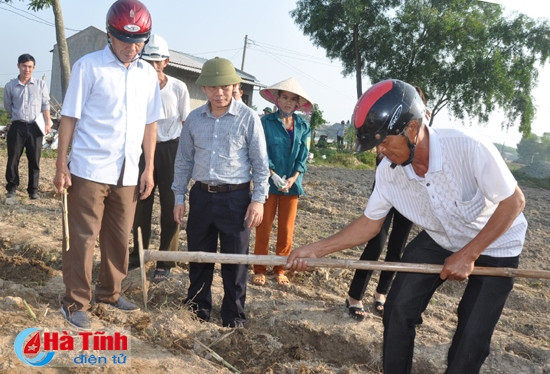 Cán bộ Mitraco Hà Tĩnh tư vấn, hướng dẫn kỹ thuật làm đất, bón phân, trồng, chăm sóc cỏ