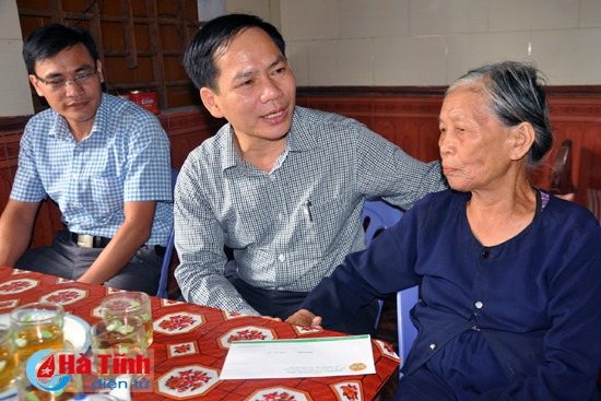 Trồng cỏ VA06 phục vụ chăn nuôi bò chất lượng cao ảnh 3