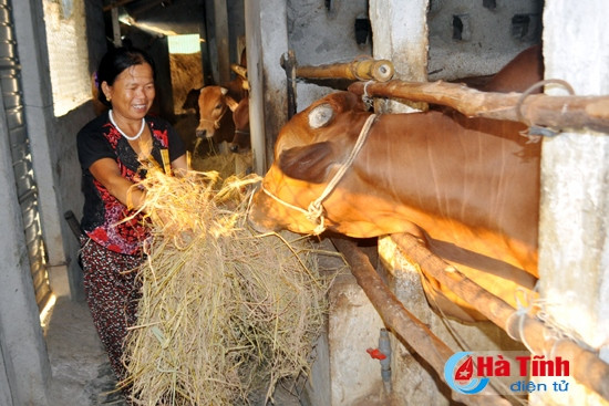 Ích Hậu dồn sức về đích nông thôn mới ảnh 2 Ích Hậu dồn sức về đích nông thôn mới ảnh 2
