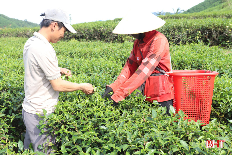 Nhờ trợ lực từ các chương trình giảm nghèo, vợ chồng anh Nguyễn Tiến Dũng và Nguyễn Thị Trà (thôn Thượng Kim) đã có nguồn vốn đầu tư sản xuất, vươn lên xây dựng cuộc sống ổn định.