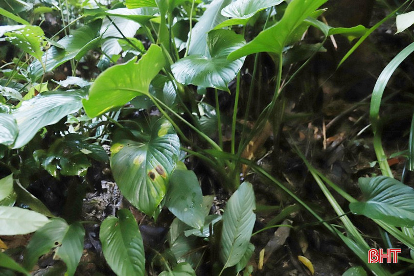 img-5424-7446.jpg