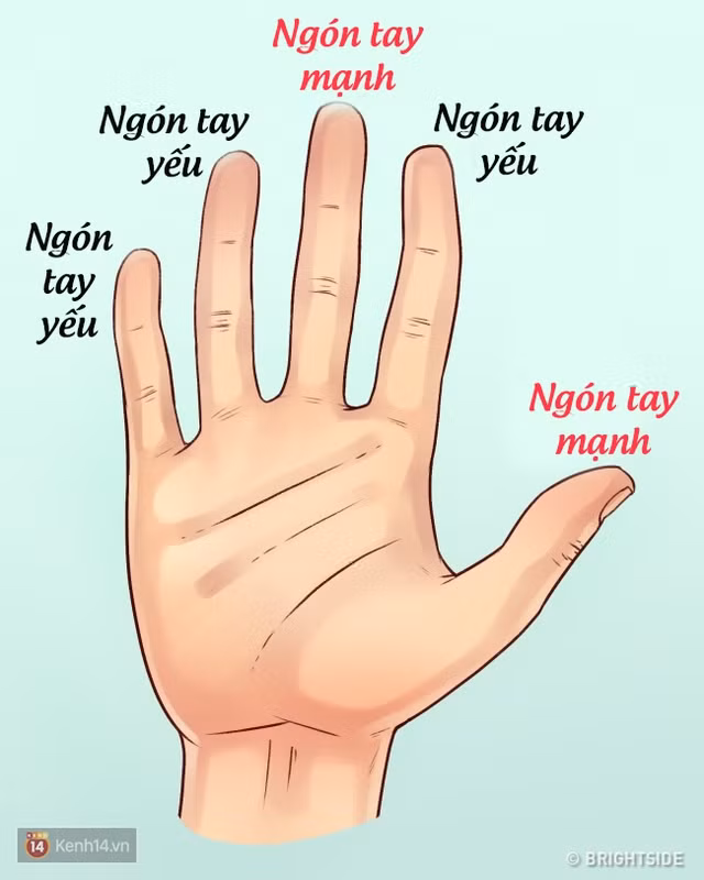 nhin ngay vao ban tay de biet diem manh va diem yeu cua ban