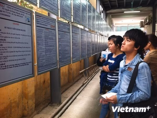 Tăng tuổi nghỉ hưu và câu hỏi cuộc sống về già có tốt hơn không? ảnh 1 tang tuoi nghi huu va cau hoi cuoc song ve gia co tot hon khong