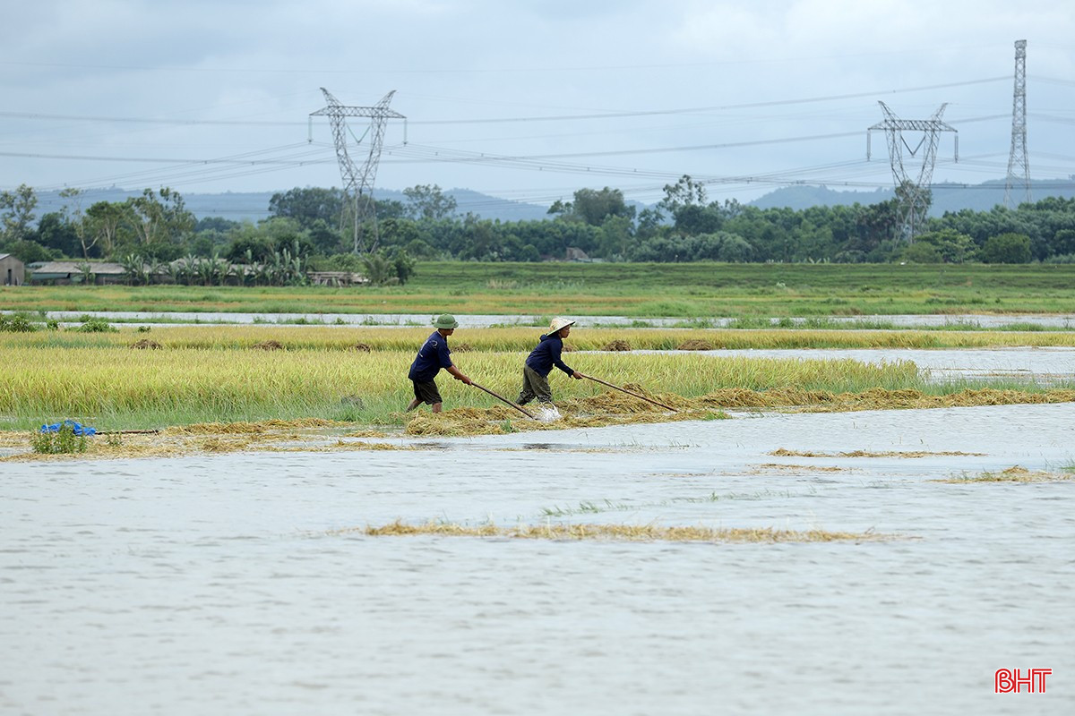 bqbht_br_mua-lu-o-ha-tinh-7.jpg