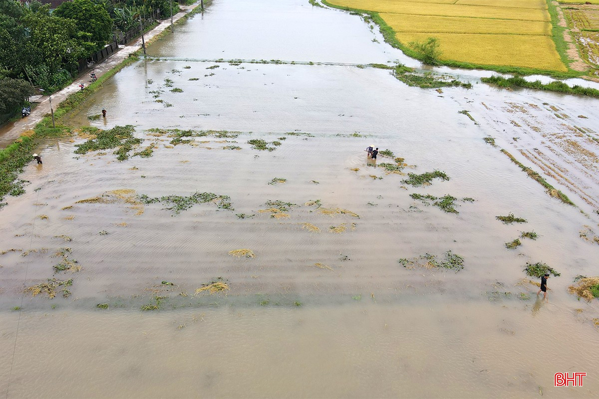 bqbht_br_mua-lu-o-ha-tinh-14c.jpg