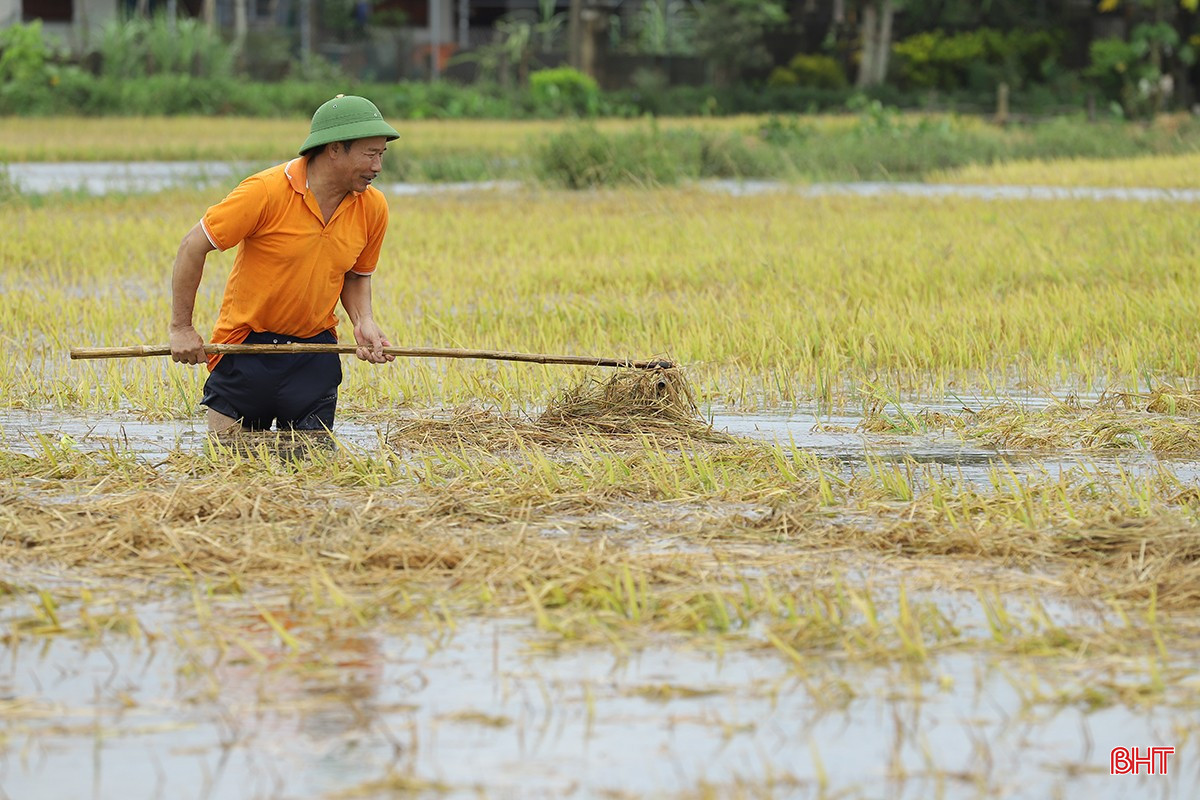 bqbht_br_mua-lu-o-ha-tinh-17c.jpg