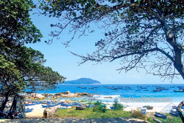 nhung thien duong cu lao co that tai viet nam