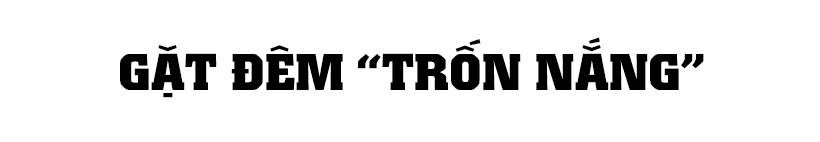 Nông dân Hà Tĩnh “trốn nắng” thu hoạch lúa xuân