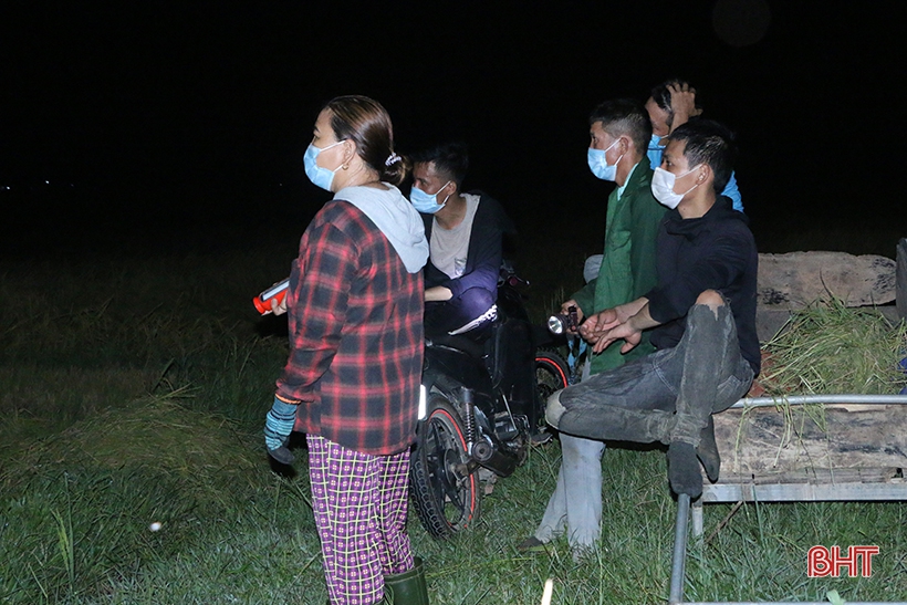 Nông dân Hà Tĩnh “trốn nắng” thu hoạch lúa xuân