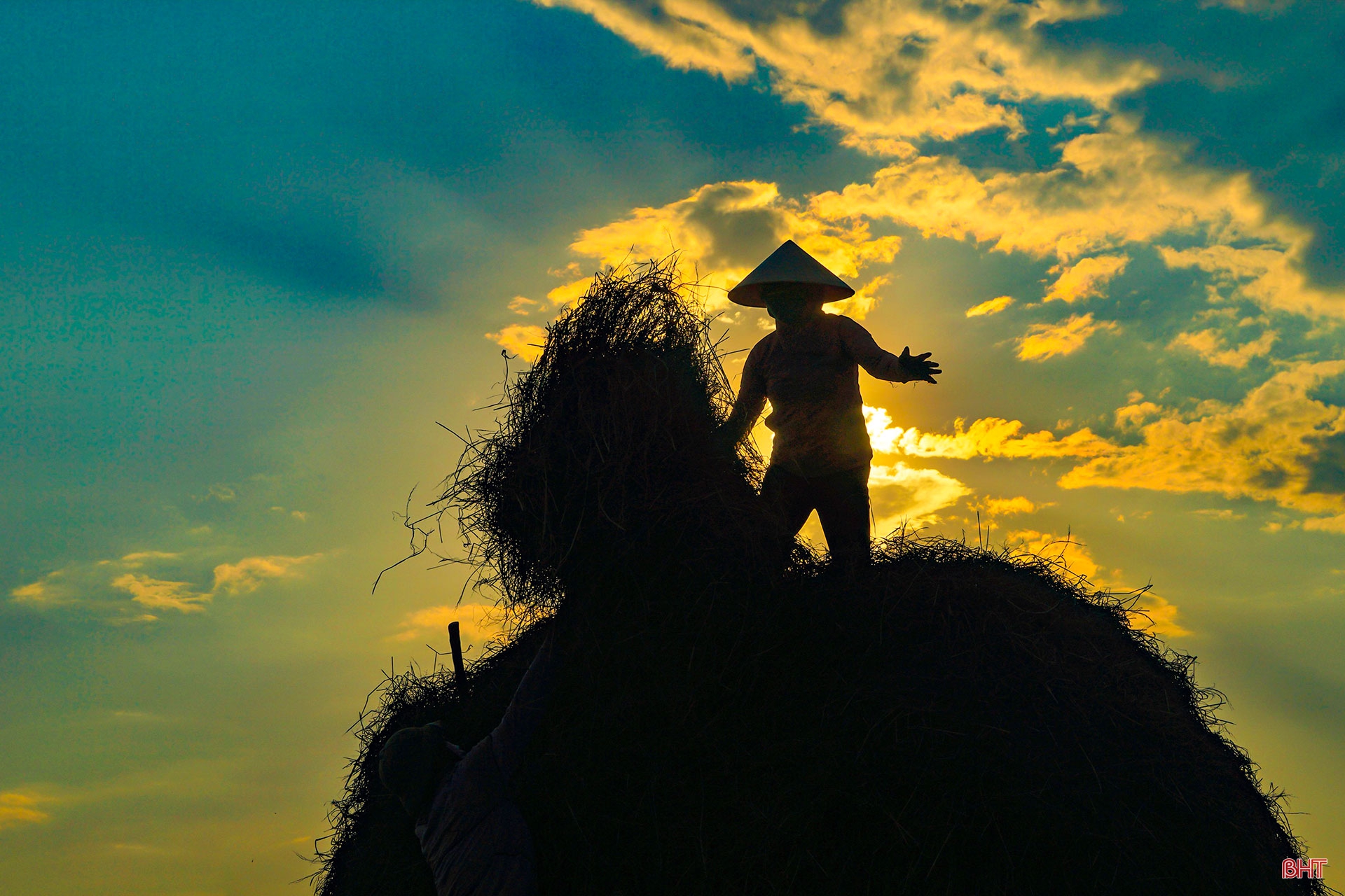 Nông dân Hà Tĩnh “trốn nắng” thu hoạch lúa xuân