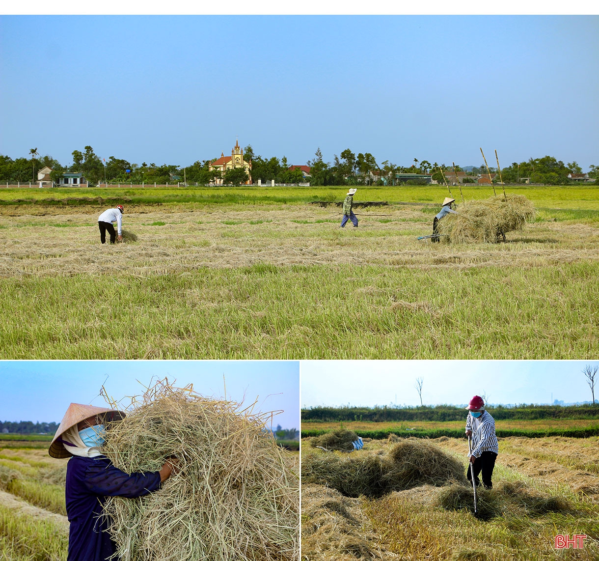 Nông dân Hà Tĩnh “trốn nắng” thu hoạch lúa xuân