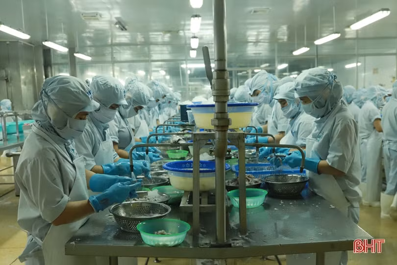 Khan hiếm nguyên liệu, sụt giảm đơn hàng, ngành chế biến thủy sản Hà Tĩnh gặp khó