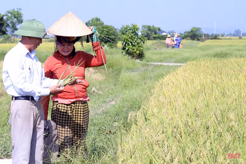 Niềm vui nhân đôi của nông dân Hà Tĩnh