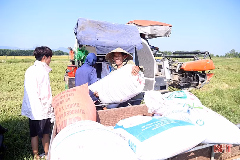Quyết không để xảy ra tình trạng “bảo kê” gặt lúa ở Hà Tĩnh