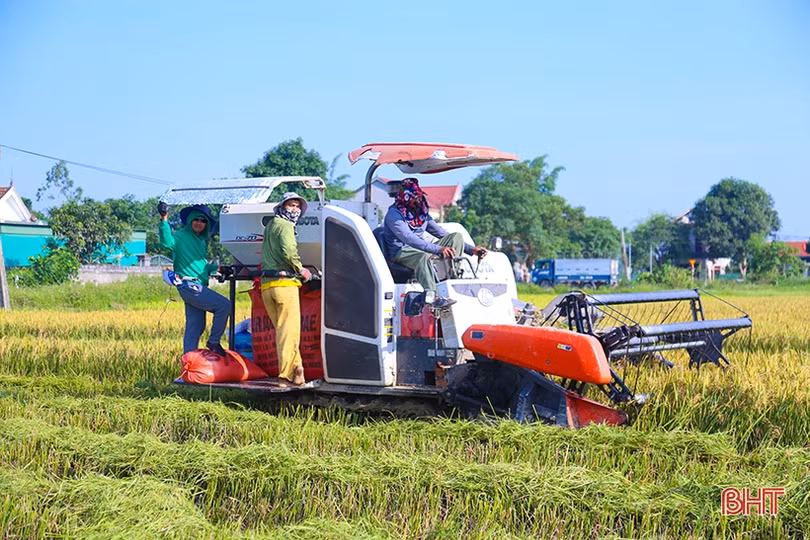 Niềm vui nhân đôi của nông dân Hà Tĩnh