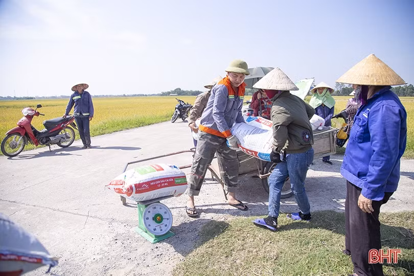 Niềm vui nhân đôi của nông dân Hà Tĩnh