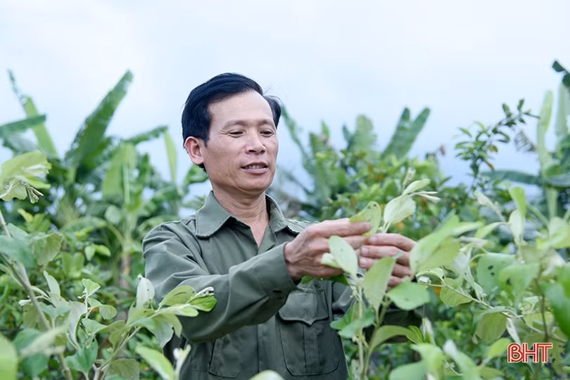 Học Bác mỗi ngày!