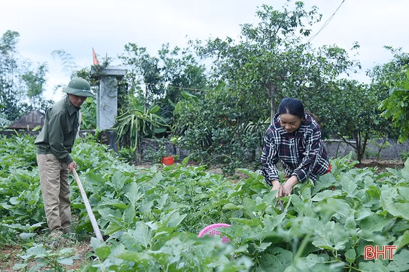 Học Bác mỗi ngày!