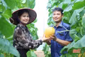 “Mở lối” cho những vùng đất sản xuất kém hiệu quả 