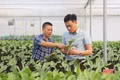 Vườn lan lớn nhất Hà Tĩnh thử nghiệm giống mới phục vụ khách hàng