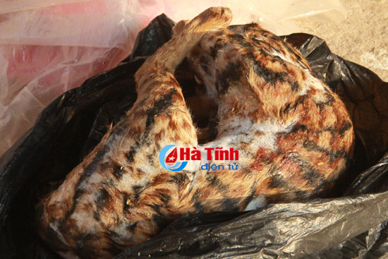 phat hien gan 1 2 tan thuc pham ban trong kho hop tac xa