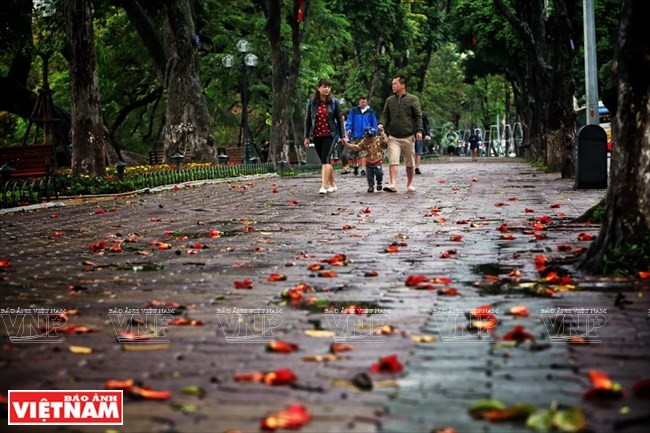 photo ha noi dep diu dang va tho mong trong khoanh khac giao mua