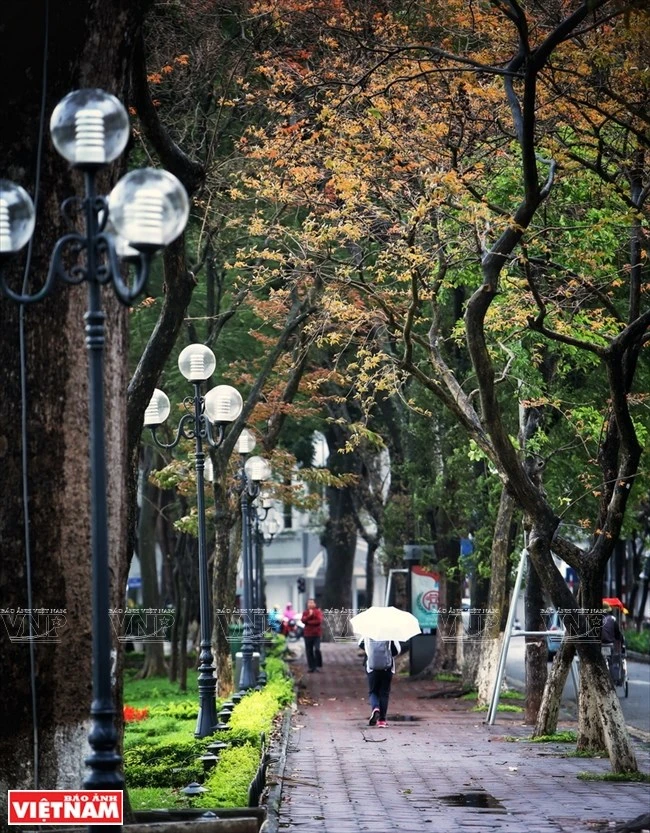 photo ha noi dep diu dang va tho mong trong khoanh khac giao mua