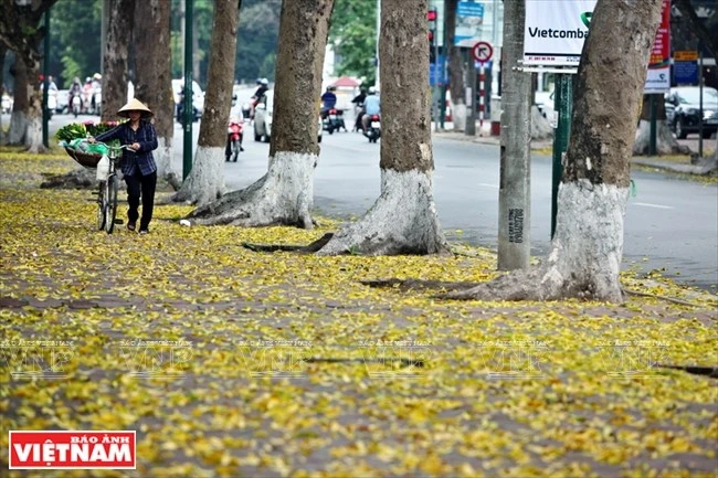 photo ha noi dep diu dang va tho mong trong khoanh khac giao mua