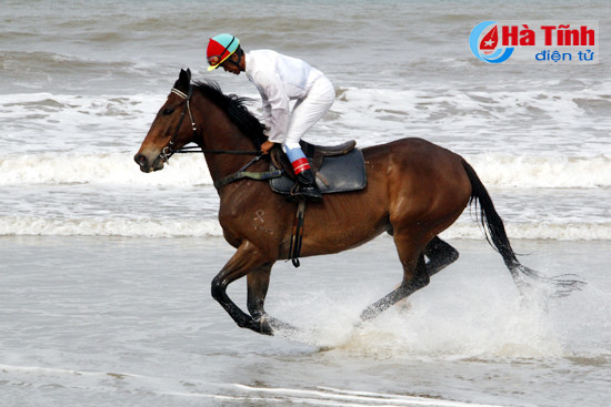 dua san golf xuan thanh nghi xuan vao hoat dong