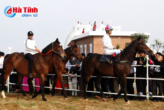 dua san golf xuan thanh nghi xuan vao hoat dong