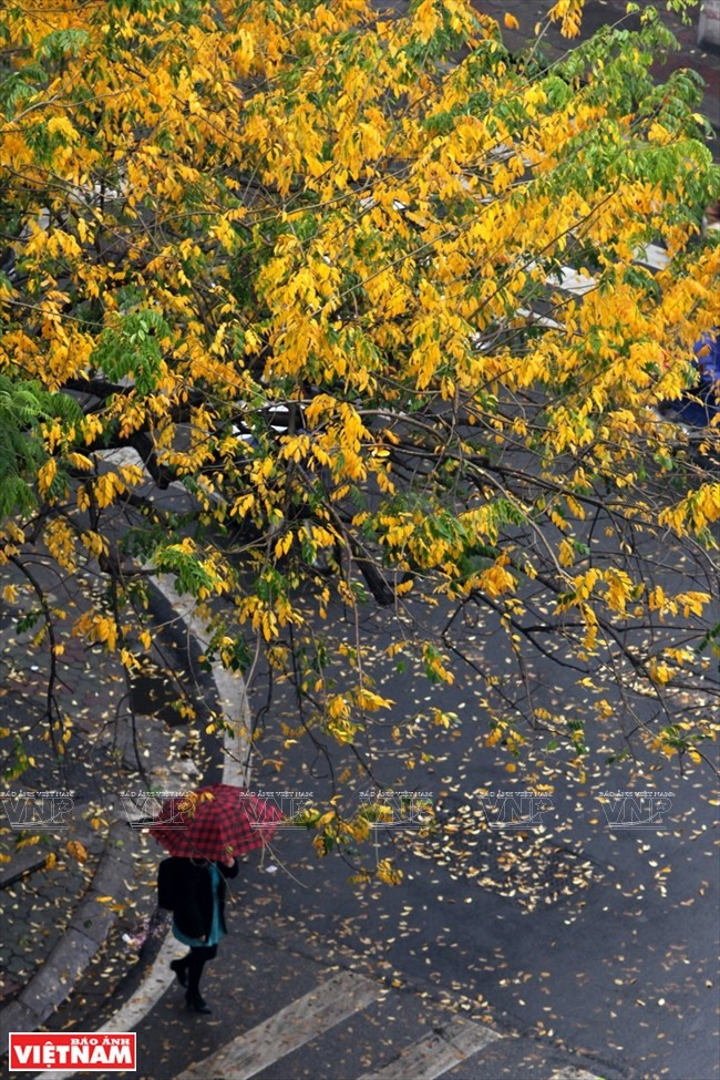 photo ha noi dep diu dang va tho mong trong khoanh khac giao mua