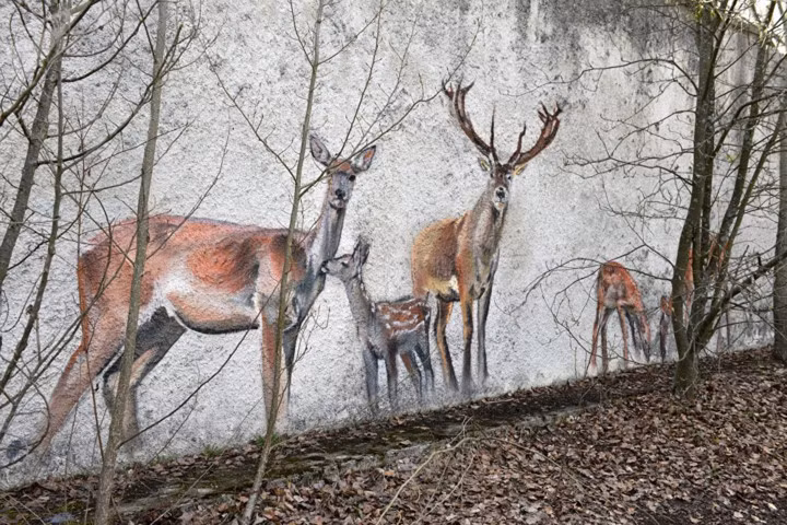 chum anh thanh pho ma pripyat 31 nam sau tham hoa chernobyl