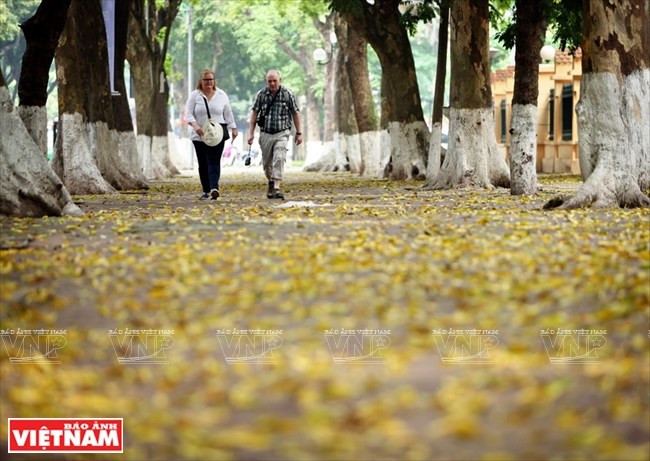 photo ha noi dep diu dang va tho mong trong khoanh khac giao mua