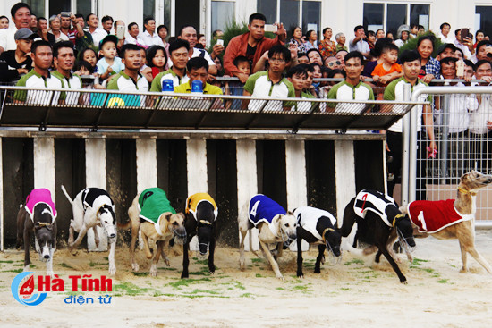 dua san golf xuan thanh nghi xuan vao hoat dong