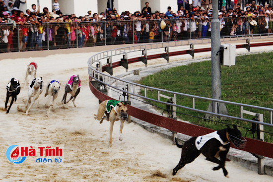 dua san golf xuan thanh nghi xuan vao hoat dong