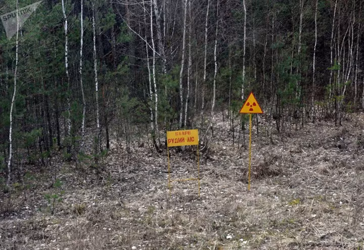 chum anh thanh pho ma pripyat 31 nam sau tham hoa chernobyl