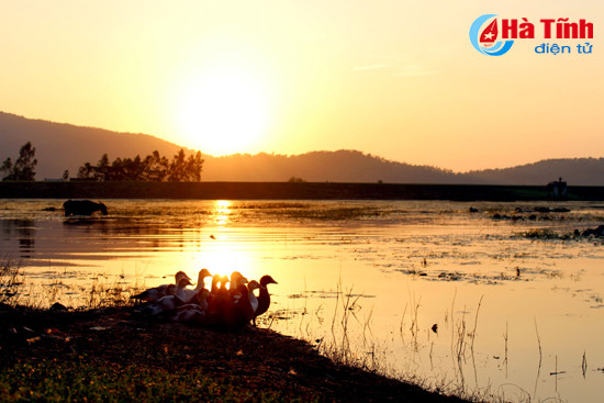 Ngỡ ngàng vẻ đẹp nguyên sơ khu sinh thái nhà vườn ở Hà Tĩnh